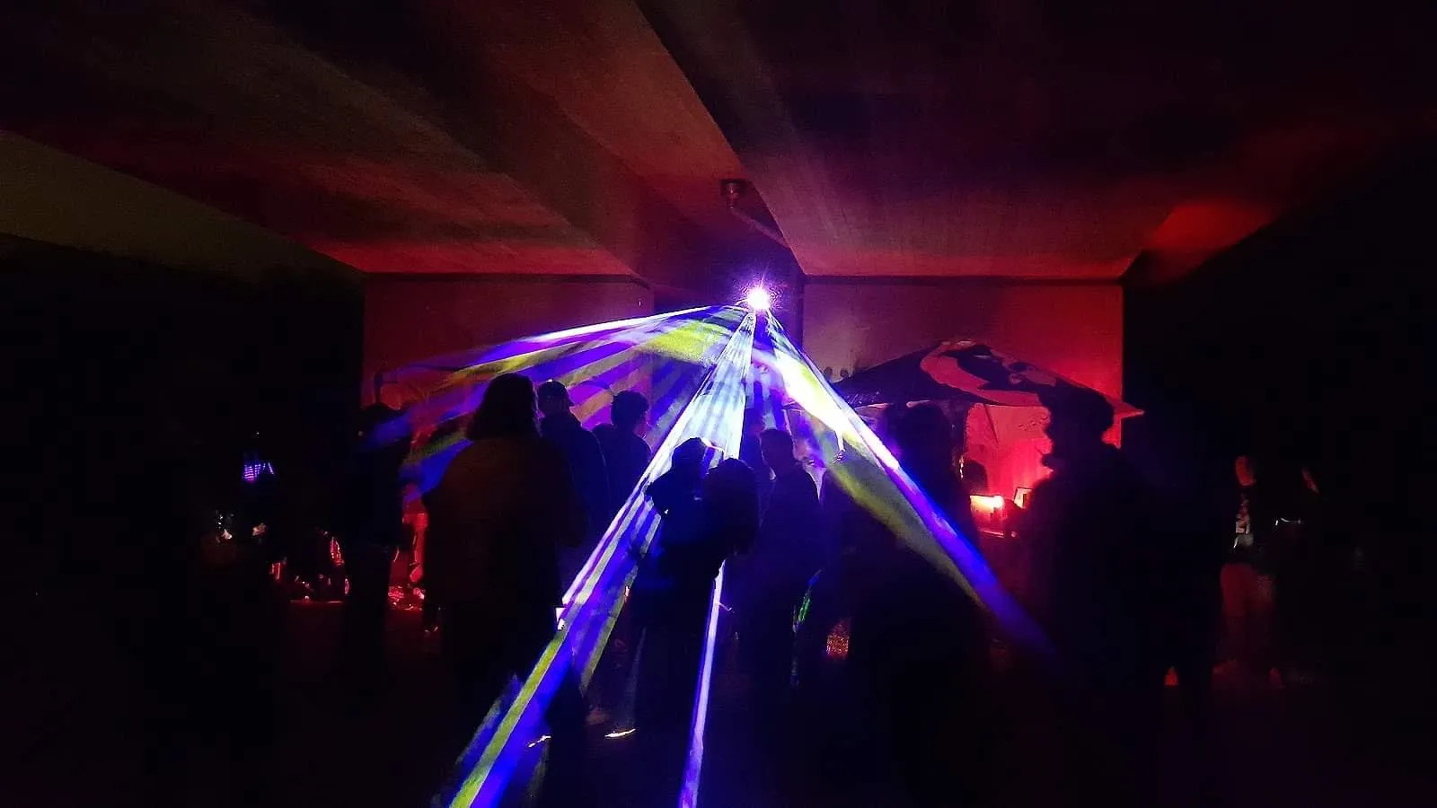 Veloklang 2019: Tréz Bien Puré! 24